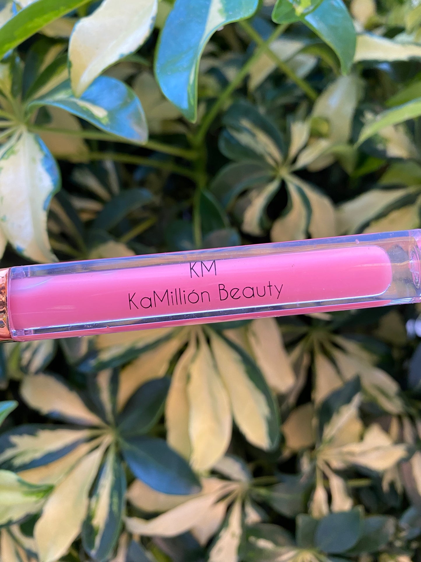 Salmon Lip Gloss